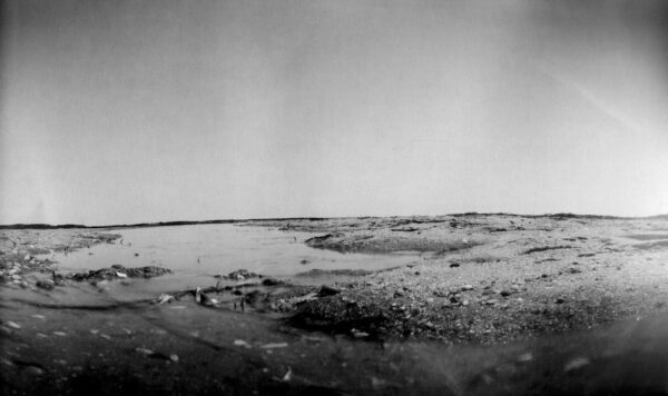 A black and white photo of the desert.