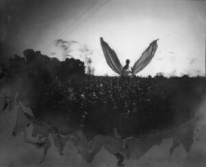 A person with wings in the middle of a field.