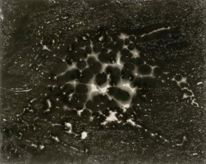 A black and white photo of some sort of star.