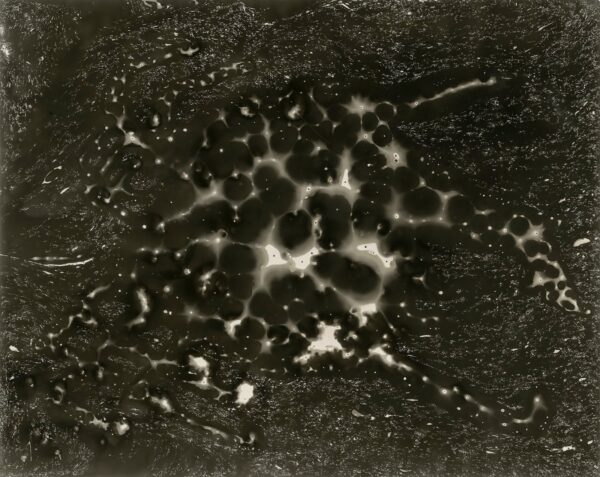 A black and white photo of some sort of star.