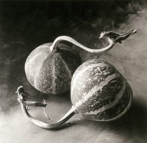 Two melons with a metal handle on the table.