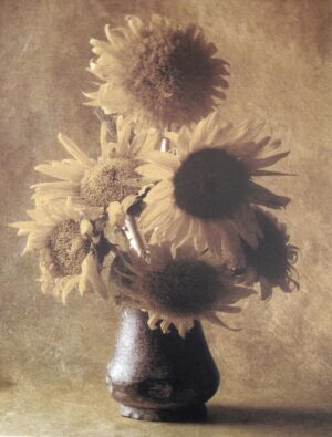 A vase of sunflowers in front of a brown wall.