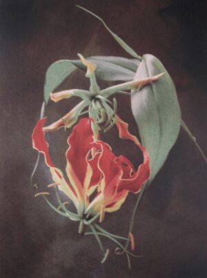 A painting of a flower with green leaves.