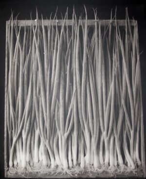 A close up of the curtain with long lines
