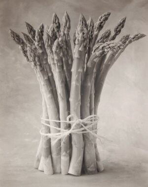 A bunch of asparagus tied up in string.