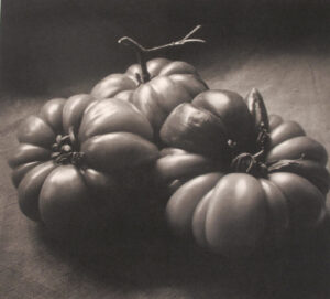 A black and white photo of some tomatoes
