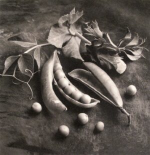 A black and white photo of some vegetables