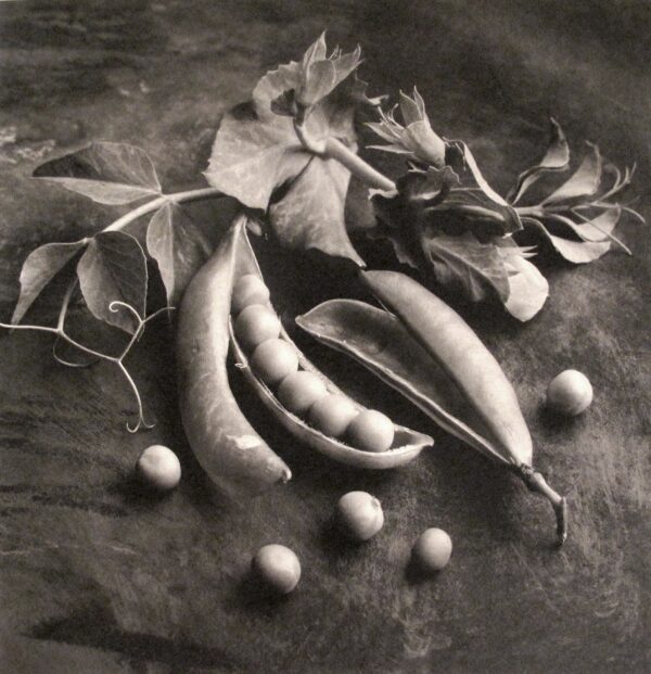 A black and white photo of some vegetables
