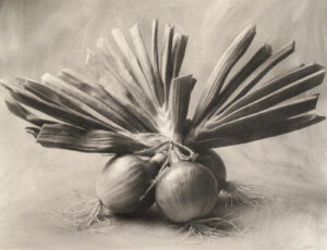 A black and white photo of two onions with leaves.