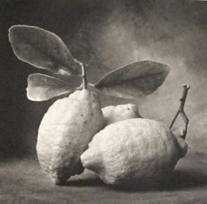 A black and white photo of two lemons