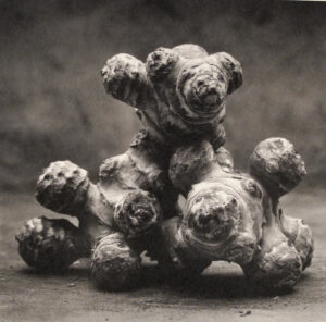 A group of three teddy bears sitting on top of each other.