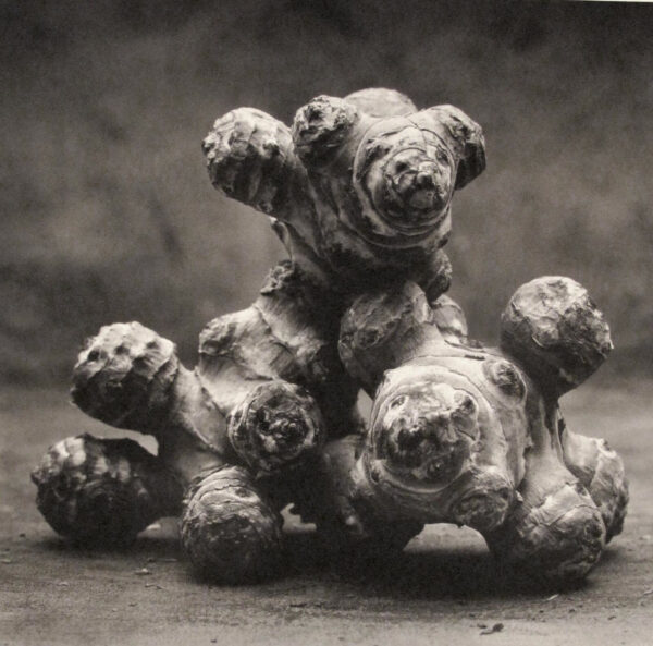 A group of three teddy bears sitting on top of each other.