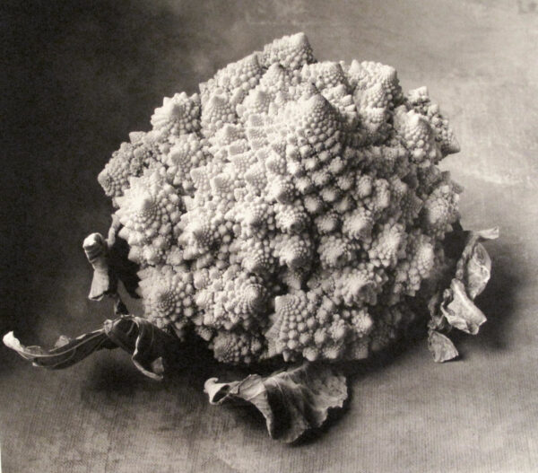 A black and white photo of a cauliflower
