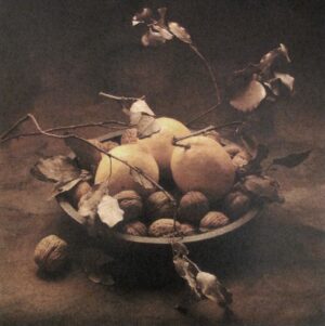 A bowl of fruit and nuts on the ground.