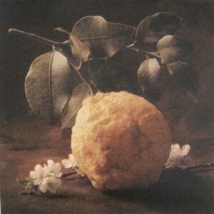 A painting of an orange and leaves