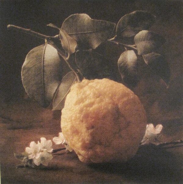 A painting of an orange and leaves