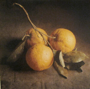 Three oranges with leaves on a table.