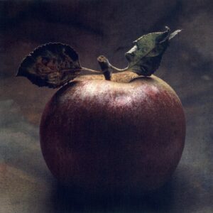 A close up of an apple with leaves on it