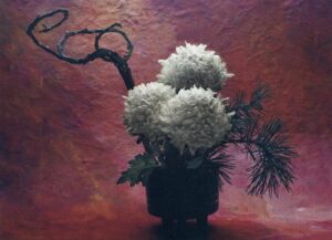 A black vase with white flowers and some branches