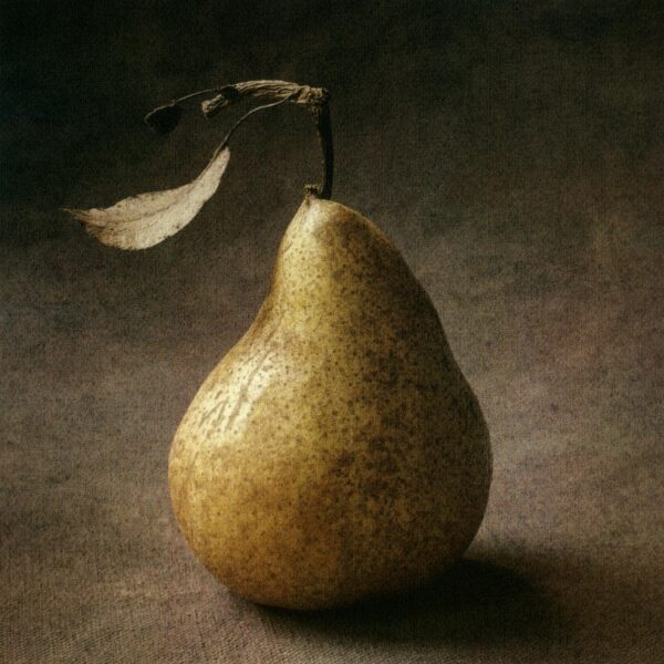 A pear with leaves on it's stem.