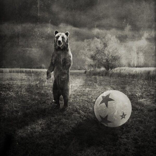 A bear standing next to a ball in the grass.