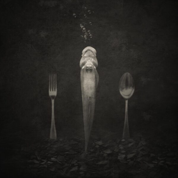 A fork, knife and spoon are in the dark.