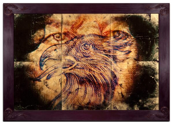 A painting of an eagle with a face on it.