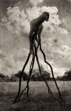 A black and white photo of a person holding onto some branches