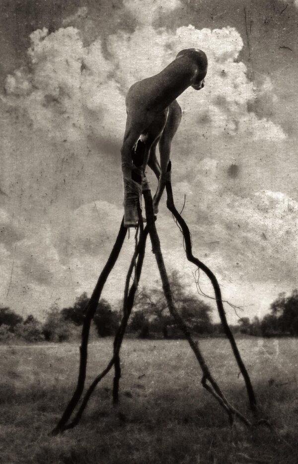 A black and white photo of a person holding onto some branches