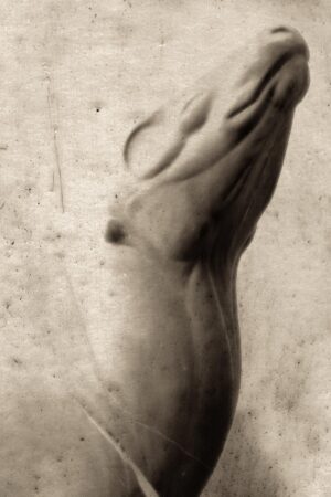 A hand is shown in the shape of a praying hands.