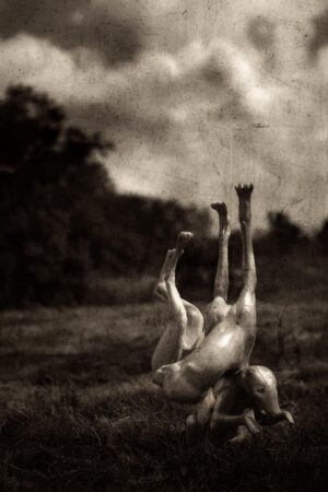 A man is upside down in the grass