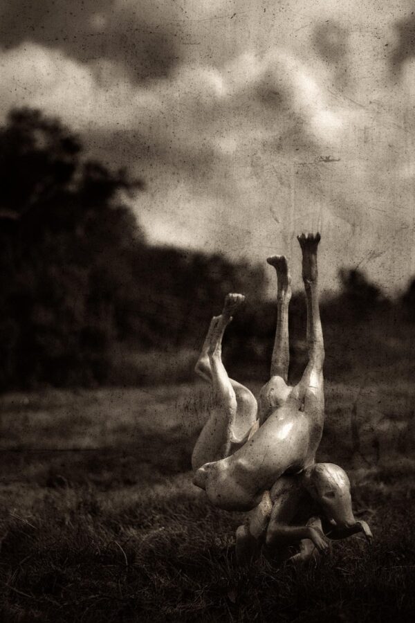 A man is upside down in the grass