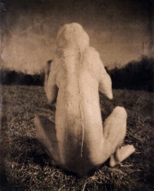 A white rabbit sitting on the ground in front of a wall.
