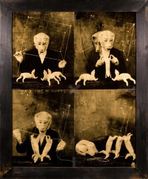 A collage of four pictures with a man and two cats.