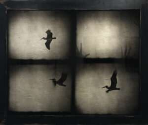 A bird flying in the air with its wings spread.