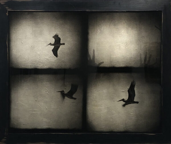 A bird flying in the air with its wings spread.