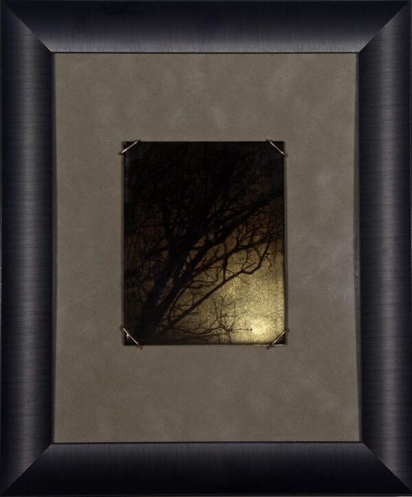 A picture frame with a tree in the middle of it.