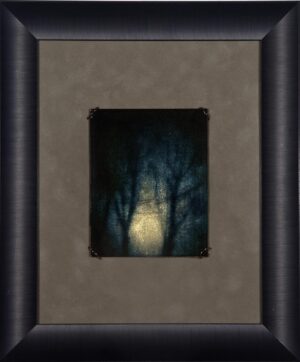 A painting of trees with the light shining through them.