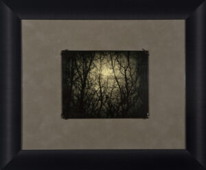 A picture of the moon in the dark forest.