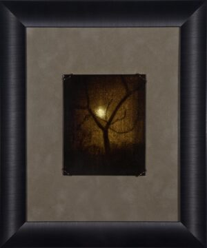 A picture of the sun setting behind trees.