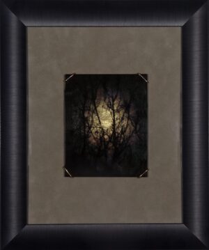 A picture of the moon in front of trees.