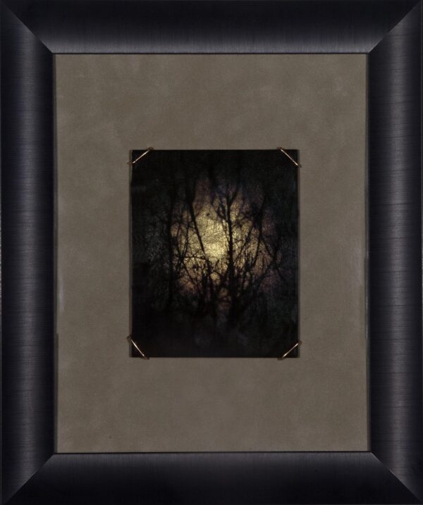 A picture of the moon in front of trees.