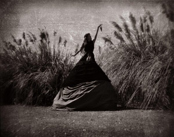 A woman in black dress standing next to tall grass.
