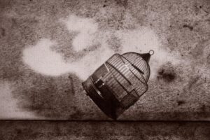 A bird cage is flying through the air.