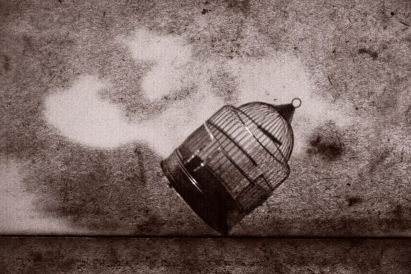 A bird cage is flying through the air.