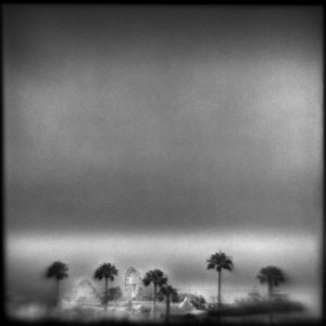 A black and white photo of palm trees in the distance.
