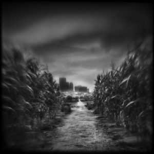 A black and white photo of an empty field