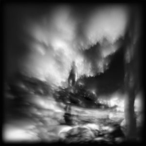 A black and white photo of trees in the distance.