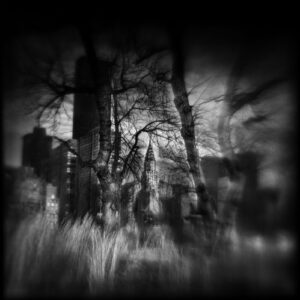 A blurry image of trees and buildings in the background.
