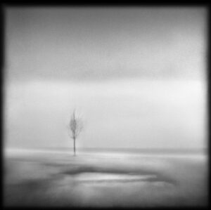 A black and white photo of the ocean with a tree in the distance.